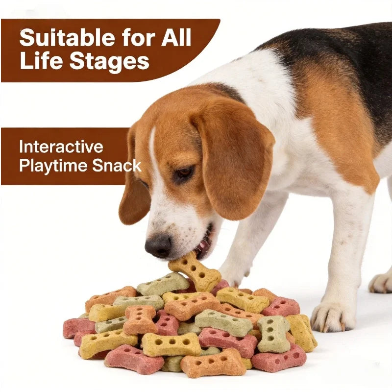 Bone-Shaped Crunchy Biscuits 240g – Delicious Dog & Cat Treats