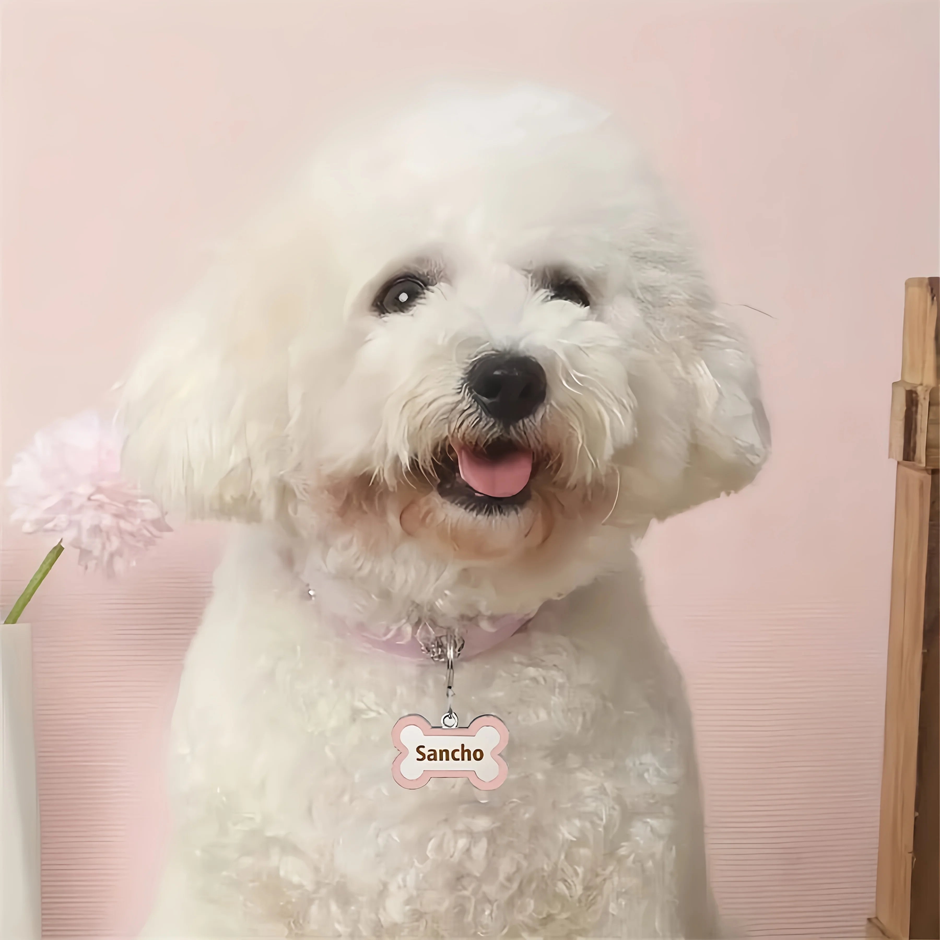 Personalized Leather Dog Collar with Engraved Name Tag