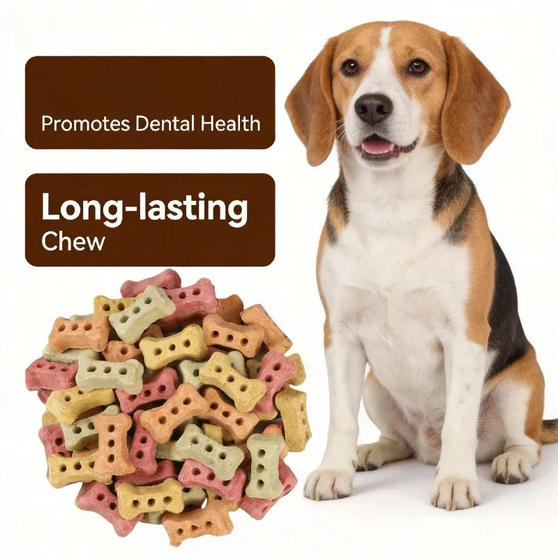 Bone-Shaped Crunchy Biscuits 240g – Delicious Dog & Cat Treats